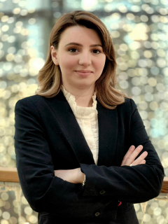 Bratislava Ubiparipovic